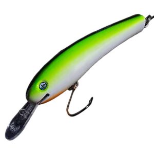 SEÑUELO RAPTOR REX 12 PALA 3 C22